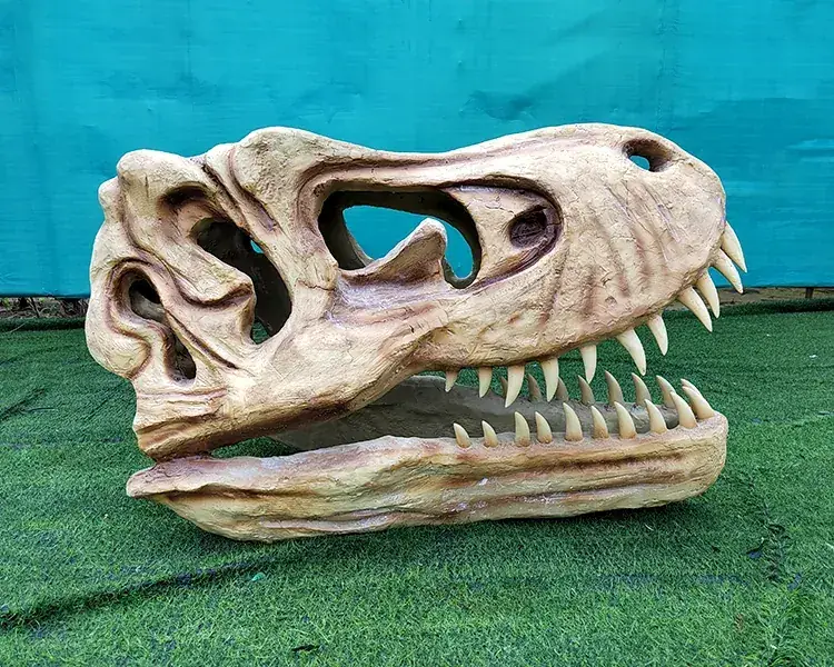 Cráneo de T-Rex (réplica de museo), una de las figuras que suministramos para exposiciones — dinosaurios en Granada
