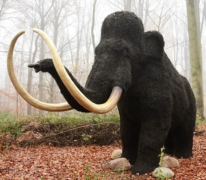 Mamut lanudo animatrónico, una de las figuras que suministramos para exposiciones — dinosaurios en Vitoria-Gasteiz