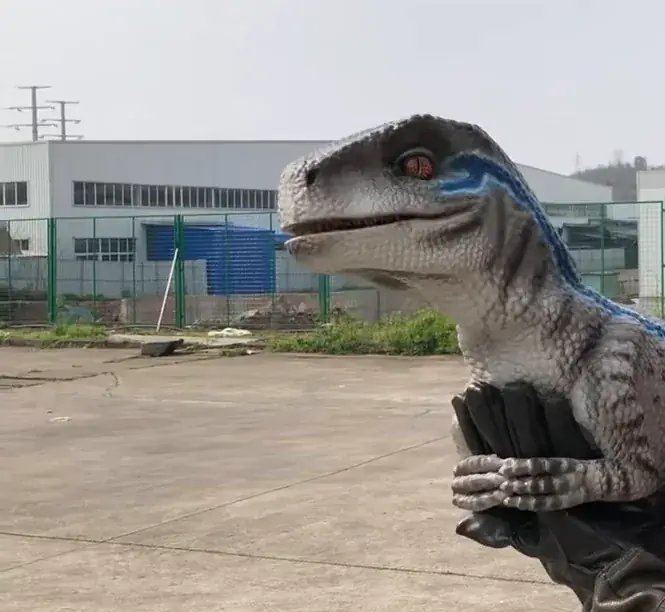 Marioneta de cría de Velociraptor, una de las figuras que suministramos para exposiciones — dinosaurios en Zaragoza