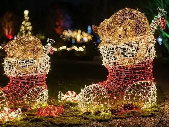 Botas de Navidad luminosas LED