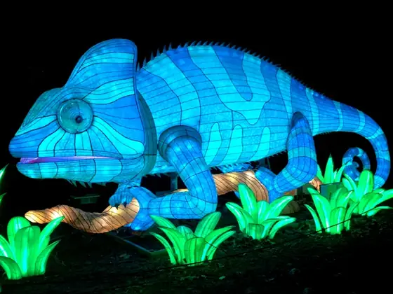 Camaleón luminoso LED