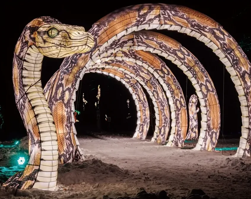 Gran serpiente luminosa LED formando un túnel de arcos