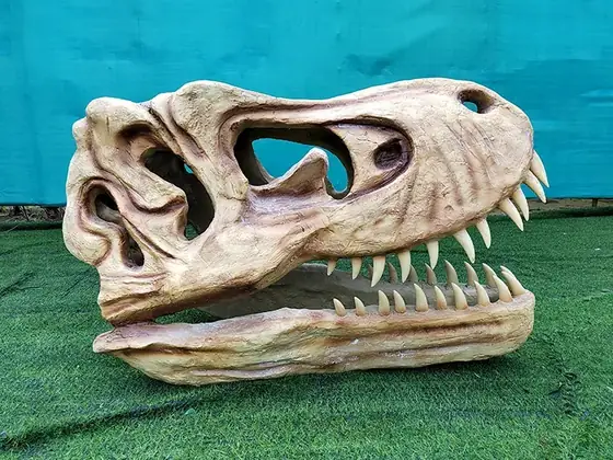Cráneo de T-Rex (réplica de museo)