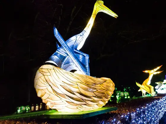 Grulla luminosa LED