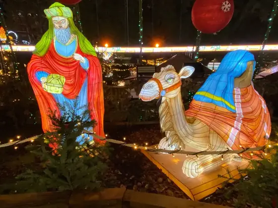 Reyes Magos con camello luminosos LED